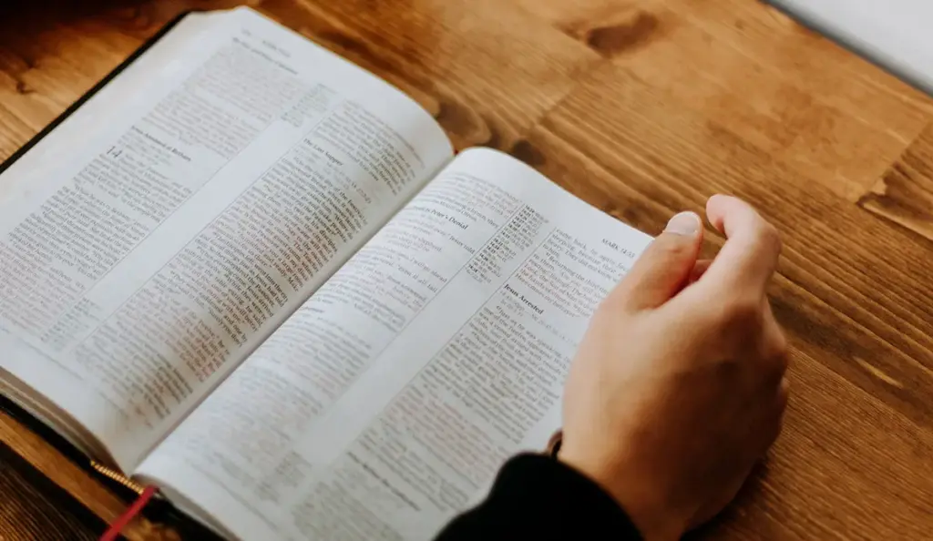 播種國際事工的門訓生命讀經講座